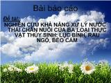 Đề tài Nghiên cứu khả năng xử lý nước thải chăn nuôi của ba loại thực vật thủy sinh: lục bình, rau ngỗ, bèo cám