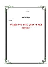 Đề tài Nghiên cưu tổng quan về môi trường