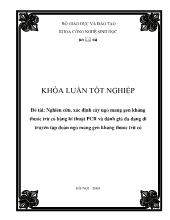 Đề tài Nghiên cứu, xác định cây ngô mang gen kháng thuốc trừ cỏ bằng kĩ thuật PCR và đánh giá đa dạng di truyền tập đoàn ngô mang gen kháng thuốc trừ cỏ