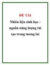 Đề tài Nhiên liệu sinh học - Nguồn năng lượng tái tạo trong tương lai