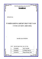 Đề tài Ô nhiễm không khí đô thị ở Việt Nam 5 năm gần đây (2005 - 2010)