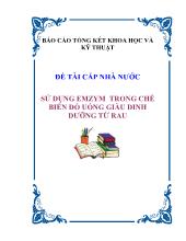 Đề tài Sử dụng emzym trong chế biến đồ uống giàu dinh dưỡng từ rau