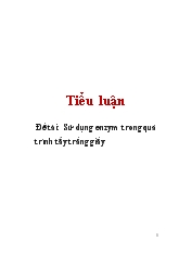 Đề tài Sử dụng enzym trong quá trình tẩy trắng giấy