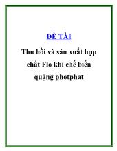 Đề tài Thu hồi và sản xuất hợp chất Flo khi chế biến quặng phot phat