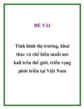 Đề tài Tình hình thị trường, khai thác và chế biến muối mỏ kali trên thế giới, triển vọng phát triển tại Việt Nam