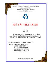 Đề tài Ứng dụng sóng siêu âm trong tiền xử lý bùn thải