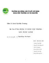 Đề tài Ứng dụng vi sinh vật trong sản xuất giấm