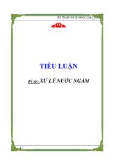 Đề tài Xử lý nước ngầm