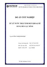 Đồ án Xử lý nước thải tinh bột khoai mì bằng bèo lục bình
