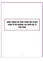Hình thành và phát triển tập đoàn kinh tế đa ngành, đa lĩnh vực ở Việt Nam