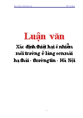 Luận văn Xác định thiệt hại ô nhiễm môi trường ở làng sơn mài Hạ thái - Thường tín - Hà Nội