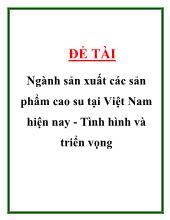 Ngành sản xuất các sản phẩm cao su tại Việt Nam hiện nay - Tình hình và triển vọng