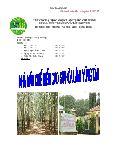 Nhà máy chế biến cao su hòa lâm - Vũng tàu