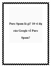 Pure Spam là gì? 10 ví dụ của Google về Pure Spam?