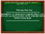 Tiểu luận Mô phỏng và tính toán chế độ thuỷ văn, thuỷ lực và chất lượng nước cho hệ thống sông soài rạp