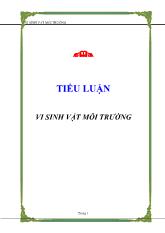 Tiểu luận Vi sinh vật môi trường