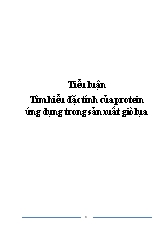 Tìm hiểu đặc tính của protein ứng dụng trong sản xuất giò lụa
