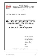 Tìm hiểu hệ thống xử lý nước thải chế biến cấp đông rau quả công suất 300 m 3/ngày đêm