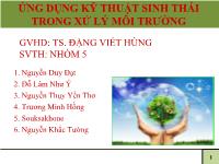 Ứng dụng kỹ thuật sinh thái trong xử lý môi trường
