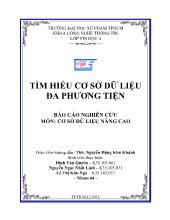 Cơ sở dữ liệu nâng cao - Tìm hiểu cơ sở dữ liệu đa phương tiện
