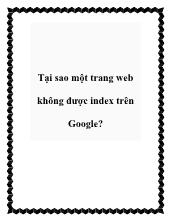 Tại sao một trang web không được index trên Google?