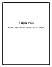 Đề tài Redistribute giữa RIPv2 và OSPF