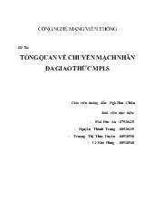 Đề tài Tổng quan về chuyển mạch nhãn đa giao thức MPLS