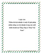 Luận văn Phân tích lợi nhuận và một số giải pháp nhằm nâng cao lợi nhuận trong sản xuất kinh doanh ở Tổng công ty Thép Việt Nam