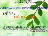 Đề tài Hệ bài tiết