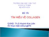 Đề tài Tìm hiểu về collagen