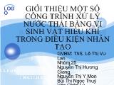 Giới thiệu một số công trình xử lý nước thải bằng vi sinh vật hiếu khí trong điều kiện nhân tạo