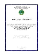 Khảo sát sự sinh trưởng của saccharomyces sp, trên môi trường cám gạo, rỉ đường và một số yếu tố ảnh hưởng đến sức sống của chúng trong chế phẩm