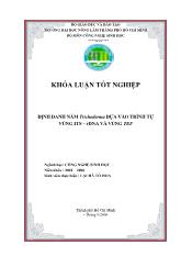 Khóa luận Định danh nấm trichoderma dựa vào trình tự vùng its – Rdna và vùng tef