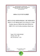 Khóa luận Khảo sát đặc điểm sinh học, chu trình phát triển và gây bệnh nhân tạo tầm gửi lá nhỏ (taxillus chinensis) thuộc họ loranthaceae trên cây cao su (hevea brasiliensis muell. arg.)