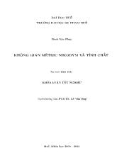 Khóa luận Không gian metric nikodym và tính chất