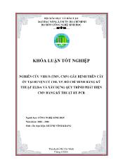 Khóa luận Nghiên cứu virus (tmv, cmv) gây bệnh trên cây ớt tại huyện củ chi, tp. Hồ Chí Minh bằng kỹ thuật elisa và xây dựng quy trình phát hiện CMV bằng kỹ thuật rt-Pcr