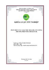 Khóa luận Phân biệt các loại thịt heo, bò, cừu bằng phương pháp multiplex pcr