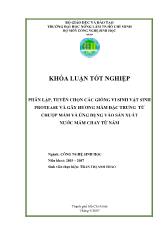 Khóa luận Phân lập, tuyển chọn các giống vi sinh vật sinh protease và gây hương mắm đặc trưng từ chượp mắm và ứng dụng vào sản xuất nƣớc mắm chay từ nấm
