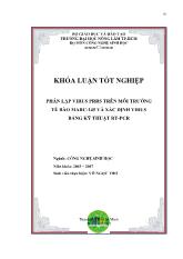 Khóa luận Phân lập virus prrs trên môi trƣờng tế bào marc - 145 và xác định virus bằng kỹ thuật RT-Pcr