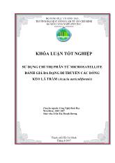 Khóa luận Sử dụng chỉ thị phân tử microsatellite đánh giá đa dạng di truyền các dõng keo lá tràm (acacia auriculiformis)