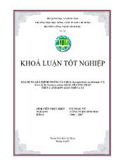Khóa luận Xây dựng qui trình trồng cà chua (lycopersicon esculentum) và xà lách (lactuca sativa) bằng phƣơng pháp thủy canh đơn giản trên cát