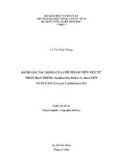 Luận văn Đánh giá tác động của chế phẩm viên nén từ nhân hạt neem (azadirachta indica a. juss) lên ngài gạo (corcyra cephalonica st.)
