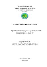 Luận văn Định danh nấm phytophthora spp. bằng các kỹ thuật sinh học phân tử