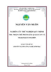 Luận văn Nghiên cứu thử nghiệm quy trình thu nhận chế phẩm giàu β-Glucan và oligoglucosamin