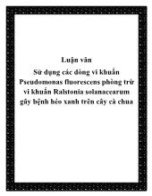 Luận văn Sử dụng các dòng vi khuẩn Pseudomonas fluorescens phòng trừ vi khuẩn Ralstonia solanacearum gây bệnh héo xanh trên cây cà chua