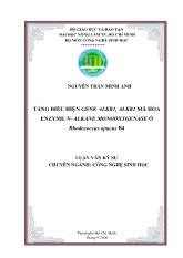 Luận văn Tăng biểu hiện gene alkb1, alkb2 mã hóa enzyme n- Alkane monooxygenase ở rhodococcus opacus b4