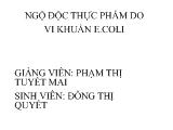 Ngộ độc thực phẩm do vi khuẩn e.coli