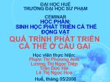 Quá trình phát triển cá thể ở Cầu Gai