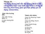 Sử dụng kháng thể đầy đủ kháng HER-2 đối với sự biểu hiện vượt mức của HER - 2 trong tế bào ung thư trung gian qua liệu pháp gen sử dụng Adenovirus