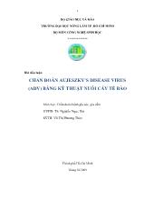 Tiểu luận Chẩn đoán aujeszky’s disease virus (adv) bằng kỹ thuật nuôi cấy tếbào